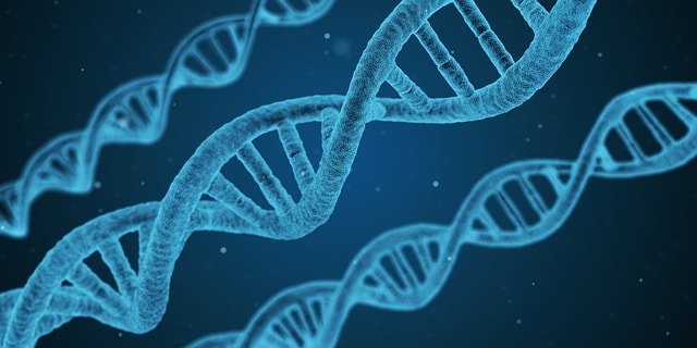 photo of DNA the building blocks of evolution which are affected by gradualism and gradual changes