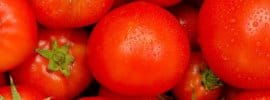 Tomatoes are pictured which are the precursor for ketchup. Kraft Heinz produces ketchup.