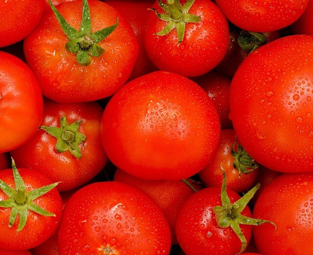 tomato photo_tomatoes are a precursor to ketchup which is produced by Kraft Heinz